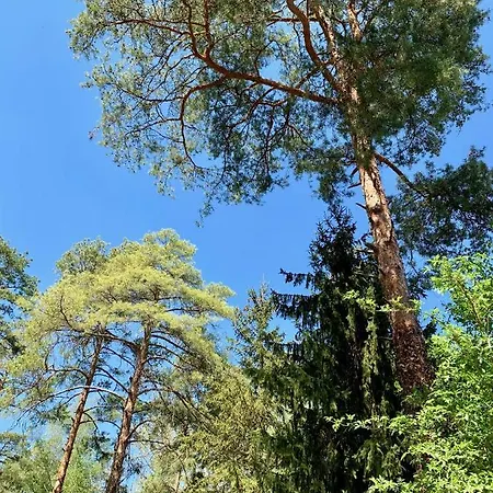 Dom wakacyjny Nadi's - Heart Of Woods, Szentendre Island Szigetmonostor