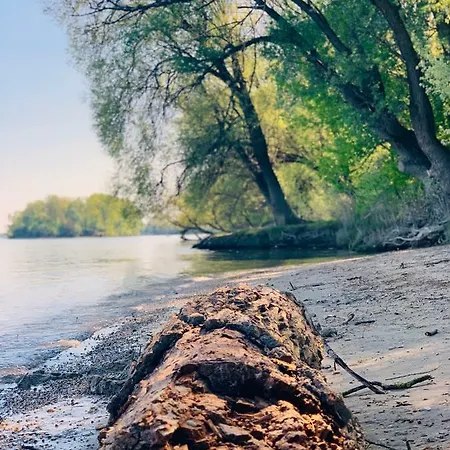 Holiday home Nadi's - Heart Of Woods, Szentendre Island *