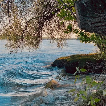 Prázdninový dům Paulanyi's Island Heart Of Woods, Szentendre Island