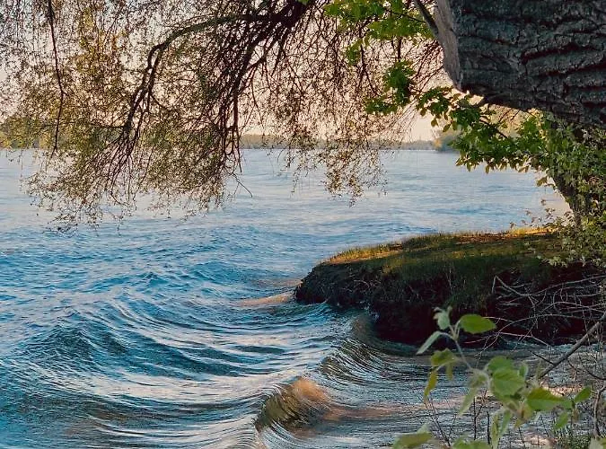 Nyaraló Paulanyi's Island Heart Of Woods, Szentendre Island